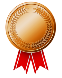 File:BronzeMedal.png
